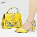Fashion Woman Shoes And Bag Set